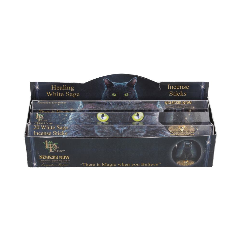 Healing Incense Sticks White Sage by Lisa Parker