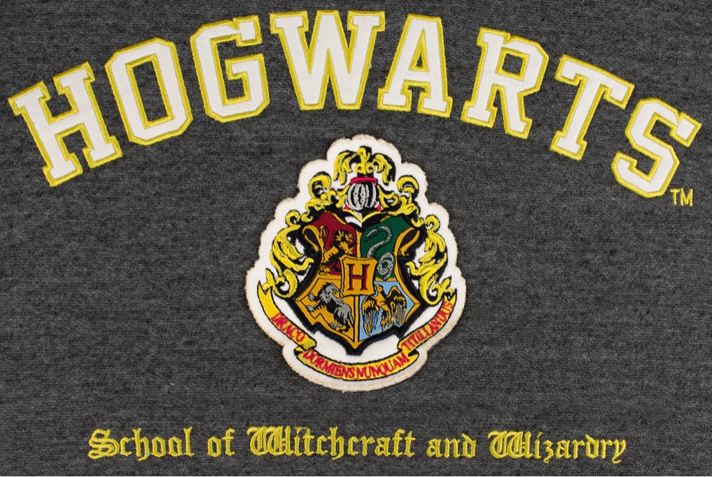 Harry Potter Unisex Hogwarts Hooded Hoodie