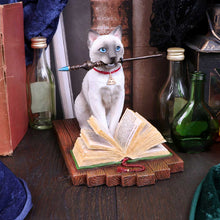 Load image into Gallery viewer, Hocus Pocus by Lisa Parker 16.8cm
