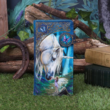 Load image into Gallery viewer, Fairy Whispers Embossed Purse by Lisa Parker 18.5cm
