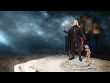 Load and play video in Gallery viewer, Lucius &amp; Dobby Figurine 26cm
