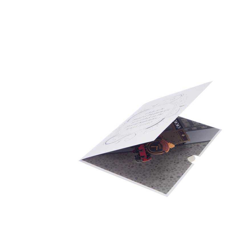 Harry Potter Hogwarts Express Pop Up Cards